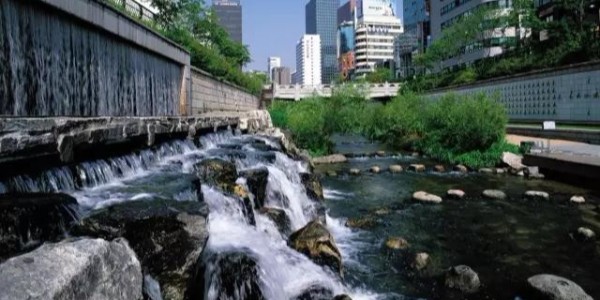 河道景觀設計秘籍：駁岸、親水、綠化、綜合治理、生態(tài)修復及植物選擇