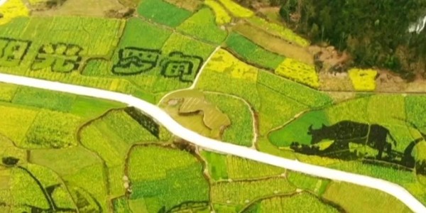 土地的涅槃｜全域土地綜合整治為何爆火？設(shè)計(jì)院如何搶占風(fēng)口？