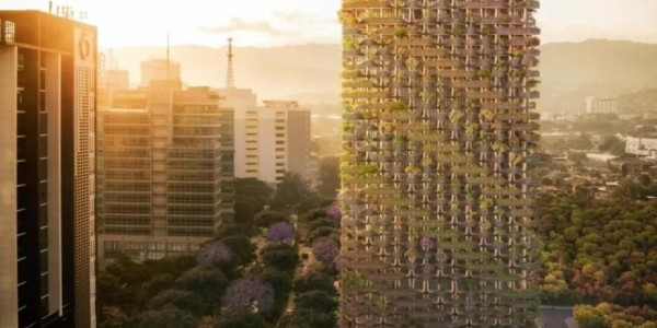 這才叫綠色建筑！用木頭代替鋼筋水泥，30000多植物栽在陽臺！